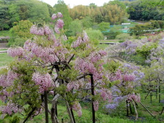 c0097838_21401012.jpg