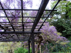 c0097838_21455340.jpg