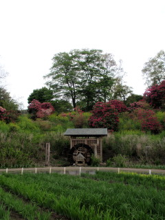 c0097838_21475914.jpg