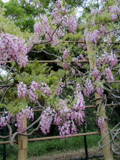 c0097838_2151296.jpg