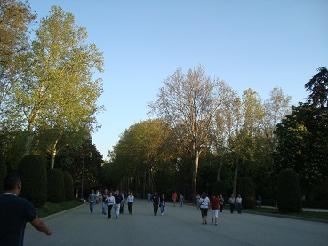 e0120938_3241713.jpg