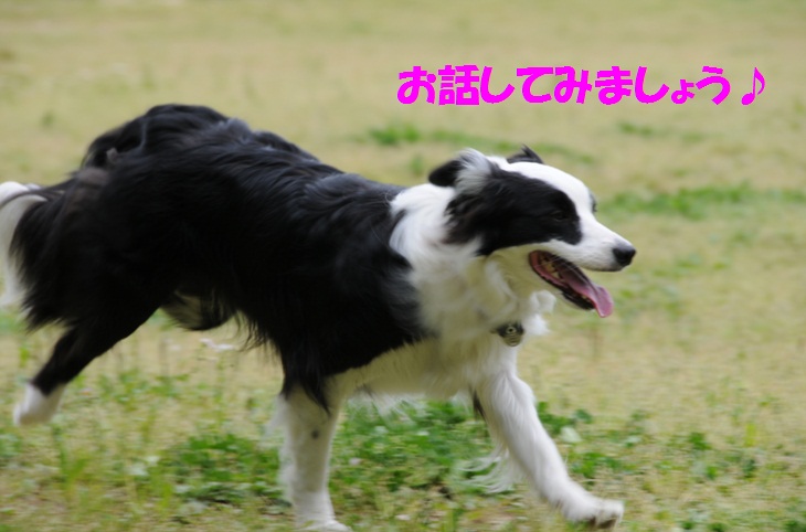 c0147241_22371477.jpg