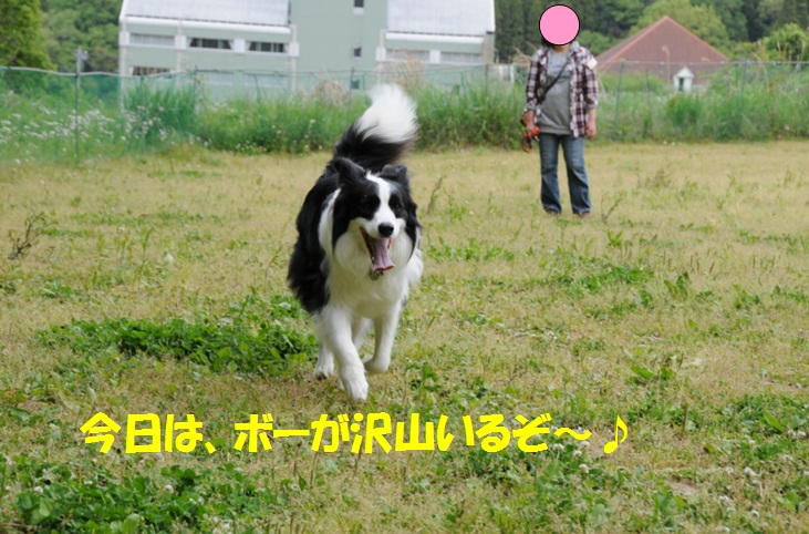 c0147241_22371663.jpg