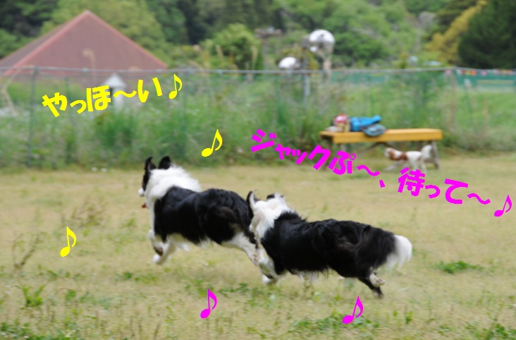 c0147241_22371942.jpg