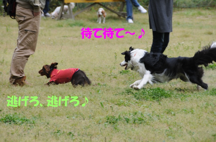 c0147241_22372036.jpg