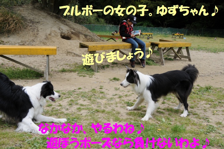 c0147241_2237352.jpg