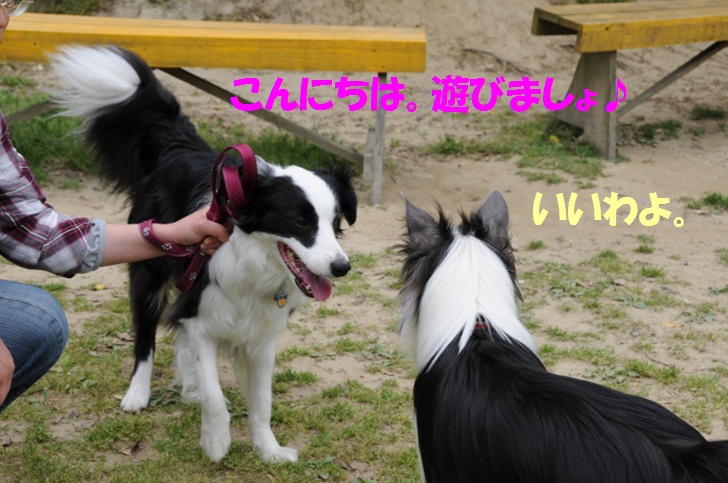 c0147241_2237587.jpg