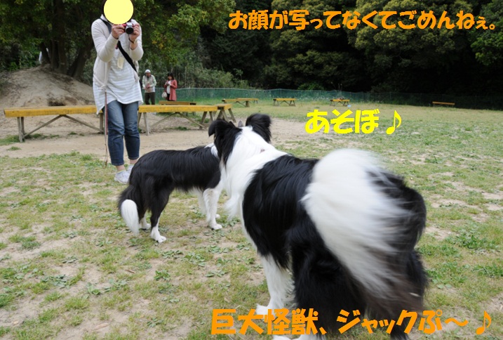c0147241_2237861.jpg