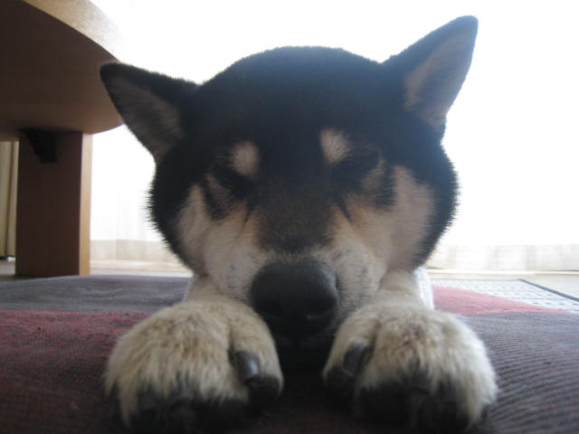 f0058241_12492078.jpg