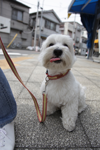 こゆきお泊まり〜二泊目〜_e0077142_2201245.jpg