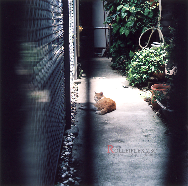 ROLLEIFLEX 2.8C_b0049843_20543930.jpg