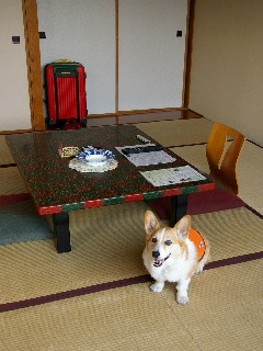 f0045846_081756.jpg