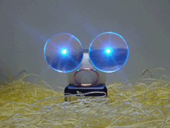 e0005548_8264093.gif