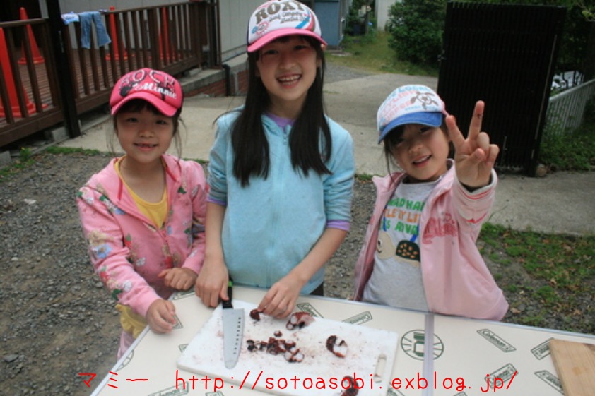 d0105749_16355562.jpg