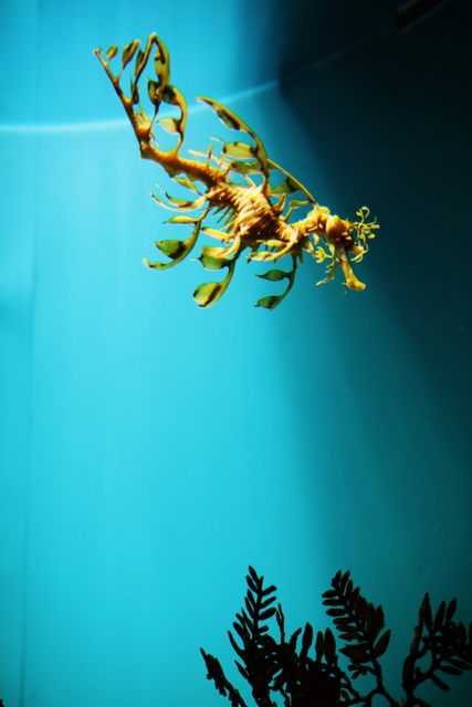 e0028650_22484797.jpg