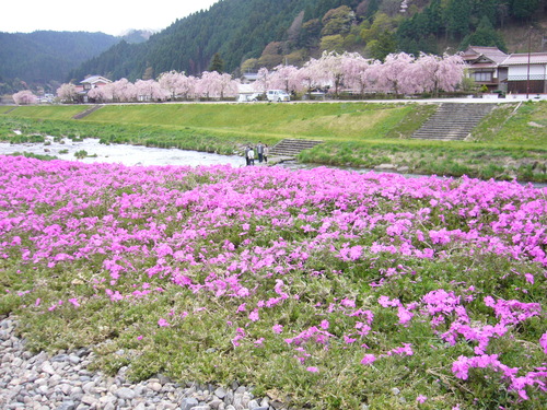 b0174451_1041879.jpg