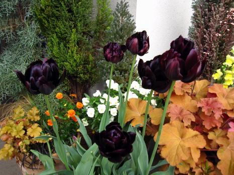 c0147952_23335132.jpg