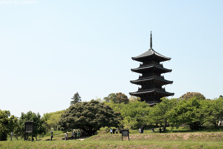 備中国分寺 蓮華祭りスナップ_f0091955_125345.jpg