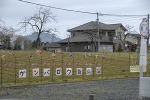 2回目の被災地訪問 ⑥ 物資を届ける_f0088456_2551894.jpg