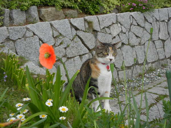 2011年5月7日(土)連休中の雨の日は・・・_f0060461_14491610.jpg