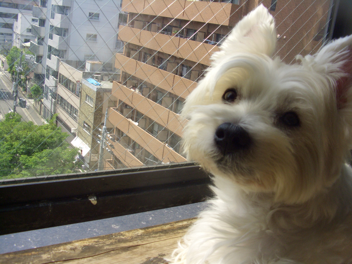 気分がいいね。_b0107163_1401834.jpg