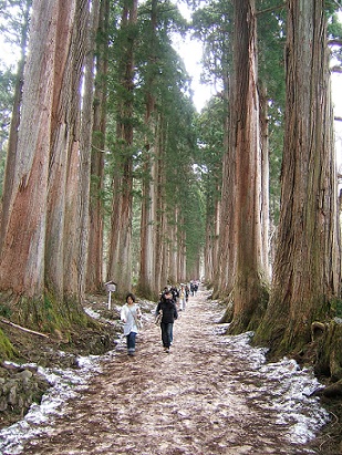 長野・戸隠神社巡り。_e0120665_17103973.jpg