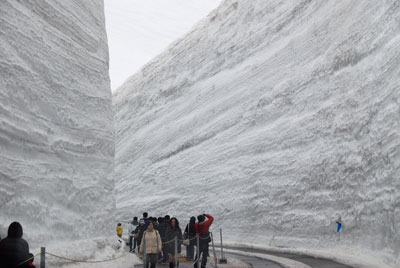 立山で春スキー_f0111065_14213256.jpg