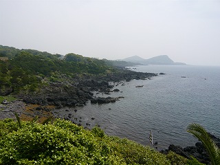 b0139168_8343131.jpg