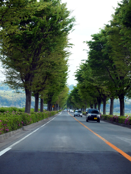 d0177875_13121837.jpg