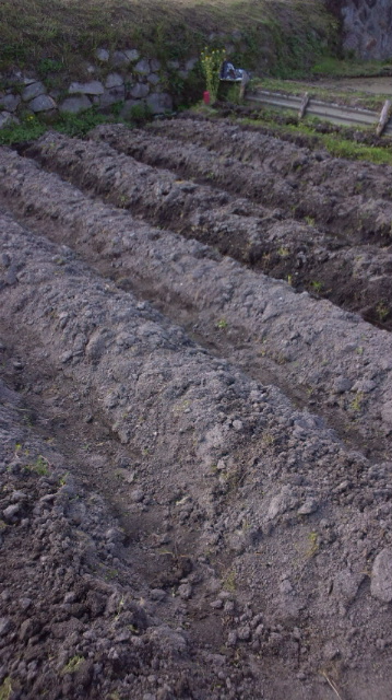f0171978_1843669.jpg