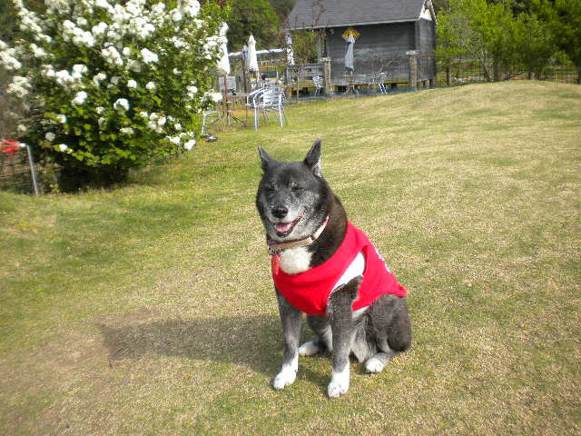 d0142182_17362651.jpg