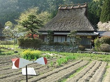 かやぶき屋根とこいのぼり　5/5_b0097689_144812.jpg