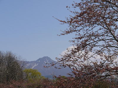 c0171889_12531841.jpg