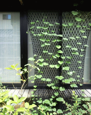 d0133199_10353818.gif
