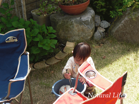 b0162000_3105570.gif
