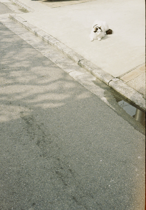c0120903_21594210.jpg