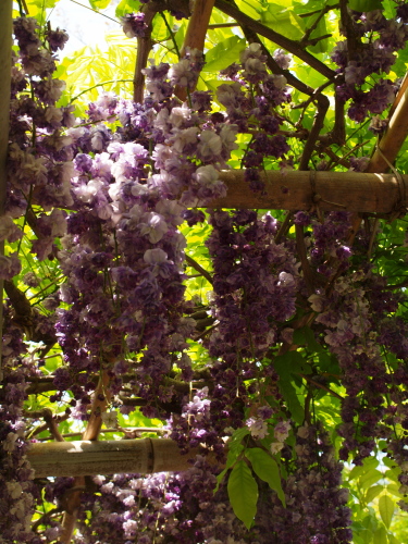 d0122703_2157180.jpg