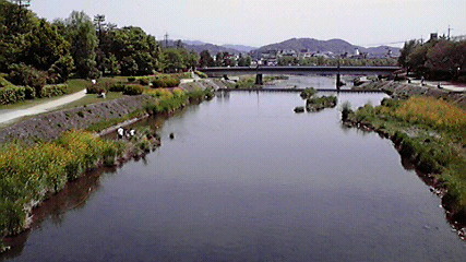 賀茂川　出町商店街_e0113504_0182565.jpg