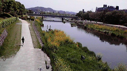 賀茂川 出町商店街_e0113504_0182572.jpg