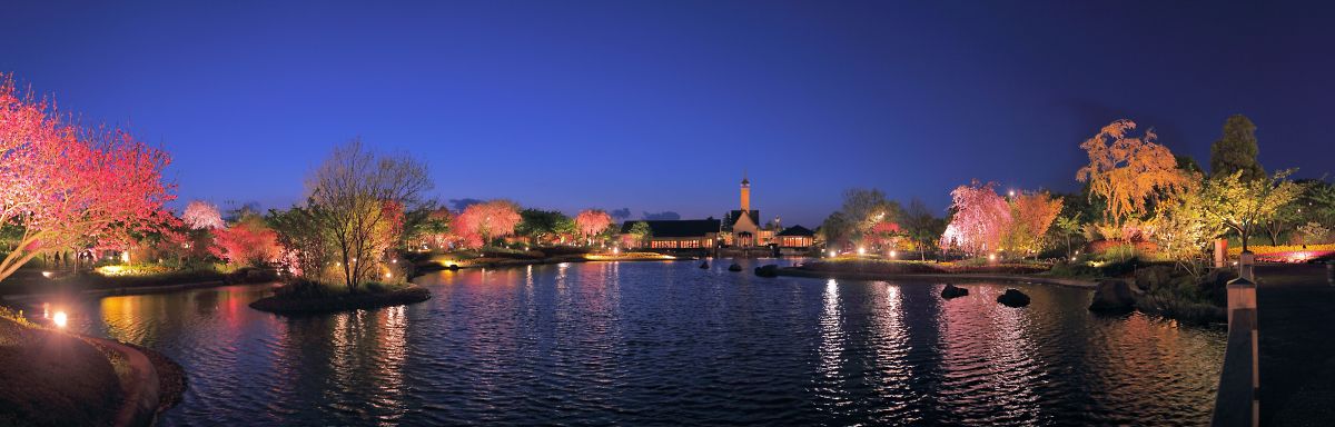 なばなの里　チューリップ４　夕景・夜景_e0107605_21213924.jpg