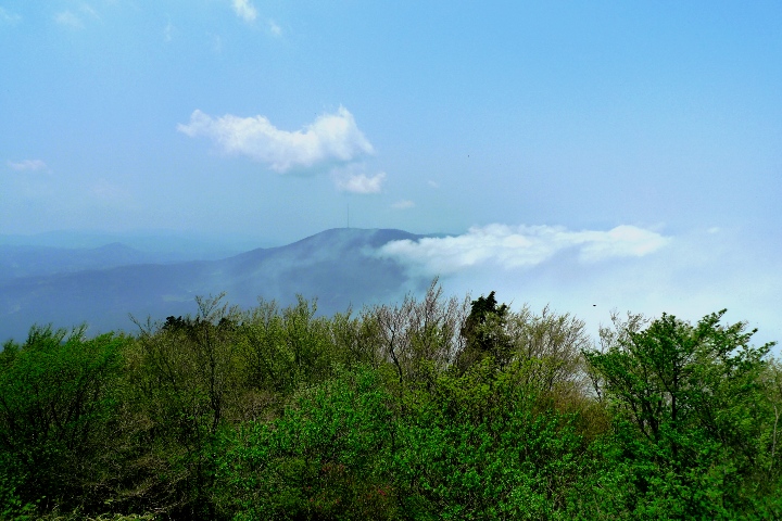 井原山～雷山縦走_a0097006_19114944.jpg