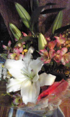 c0180209_202214100.jpg
