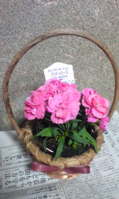 c0180209_20221424.jpg