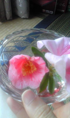 c0180209_20221438.jpg