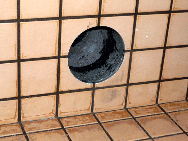 b0159611_039294.gif