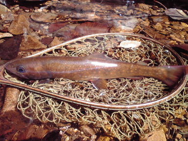 f0079411_1691023.jpg