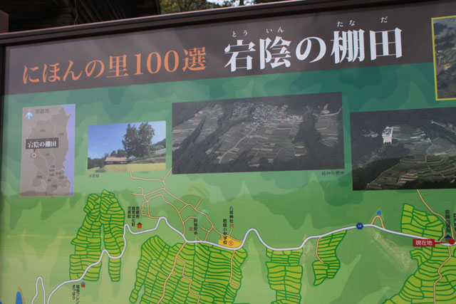 越畑 樒原の棚田_e0048413_18222237.jpg