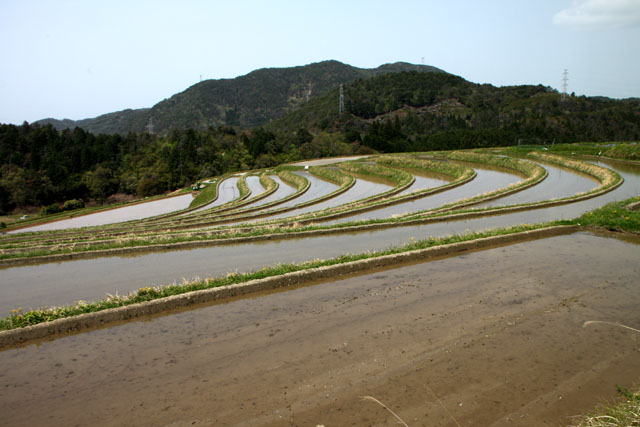 越畑 樒原の棚田_e0048413_18235288.jpg
