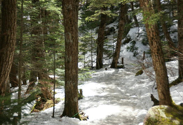 f0133013_13374732.jpg
