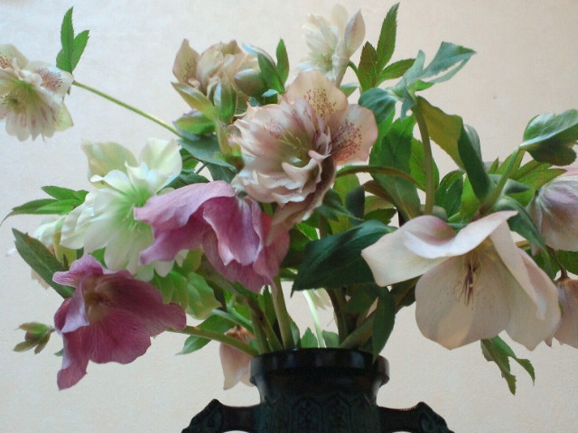 a0073915_1340020.jpg